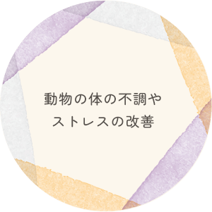 動物の身体の不調やストレスの改善